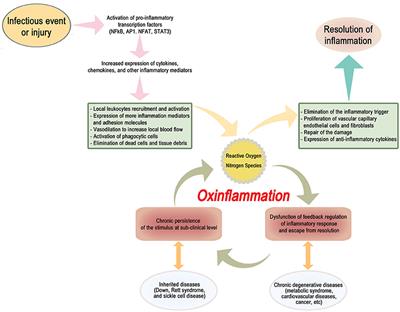 OxInflammation: From Subclinical Condition to Pathological Biomarker